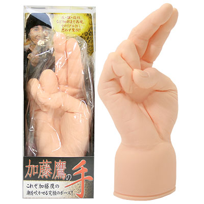 b14095　加藤鷹の手