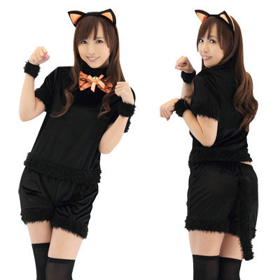 b19482　いたずらハニーキャット