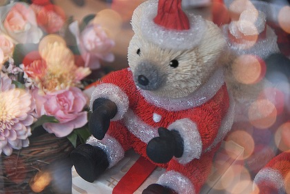 いよいよ来週はクリスマス＆Christmas Eve。