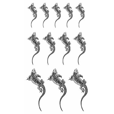 女性蜥蜴タツー