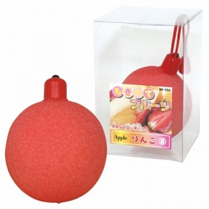 ローターが安い｜もぎたてフルーツ（リンゴ）