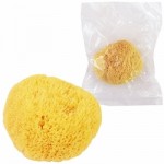 「海綿」（スポンジ）<バス用品・風俗グッズです。