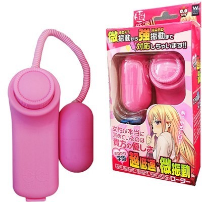 ���ᑬ�E���U�����˂��胍�[�^�[�i�s���N�j