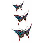 �^�g�D�[�V�[���@�O�_��(�^�g�D�[�E�h�V�[��)