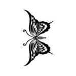 �^�g�D�[�V�[���@�����Q(�^�g�D�[�E�h�V�[��)