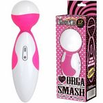 �s���L�[�I���K�X�}�b�V��(�o�C�u�i�d���������j)