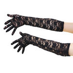 ���[�X�����O���(�R�X�v���ߑ�)