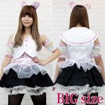 ��������A�C�h���@�����@�ߑ��@�a�h�f(�R�X�v���ߑ�)