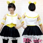 ��������A�C�h���@�����@�ߑ��@�a�h�f(�R�X�v���ߑ�)