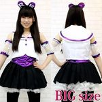 ��������A�C�h���@�����@�ߑ��@�a�h�f(�R�X�v���ߑ�)