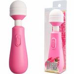 �c���������i�h���C�u�j�@�s���N(�o�C�u�i�d���������j)