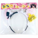 �����J�`���[�V��(�R�X�v���ߑ�)