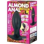 �A�[�����h�A�i���@�i�k�j(�A�i��)