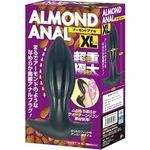 �A�[�����h�A�i���@�i�w�k�j(�A�i��)