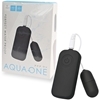 AQUA�|ONE�i����@�݁j�@��ׯ�