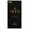 SKYN�i��݁j�@10��