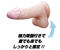 ���̊Ɓ@�i�k�j