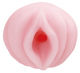 �G�V
