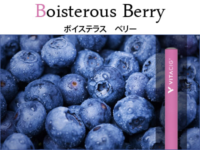 �u�������b�����i�r�^�V�O�j�@�{�C�X�e���X�@�x���[