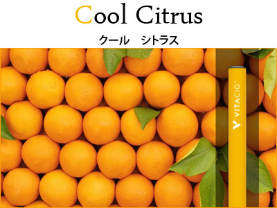 �u�������b�����i�r�^�V�O�j�@�N�[���@�V�g���X