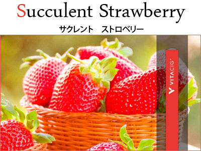 �u�������b�����i�r�^�V�O�j�@�T�N�����g�@�X�g���x���[